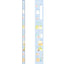 Sumikko Gurashi Hexagonal Pencil Set of 12 - Squeeze