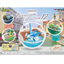 Pokémon - Re-Ment Terrarium Vol.12 - Blind Box - 1 PCS