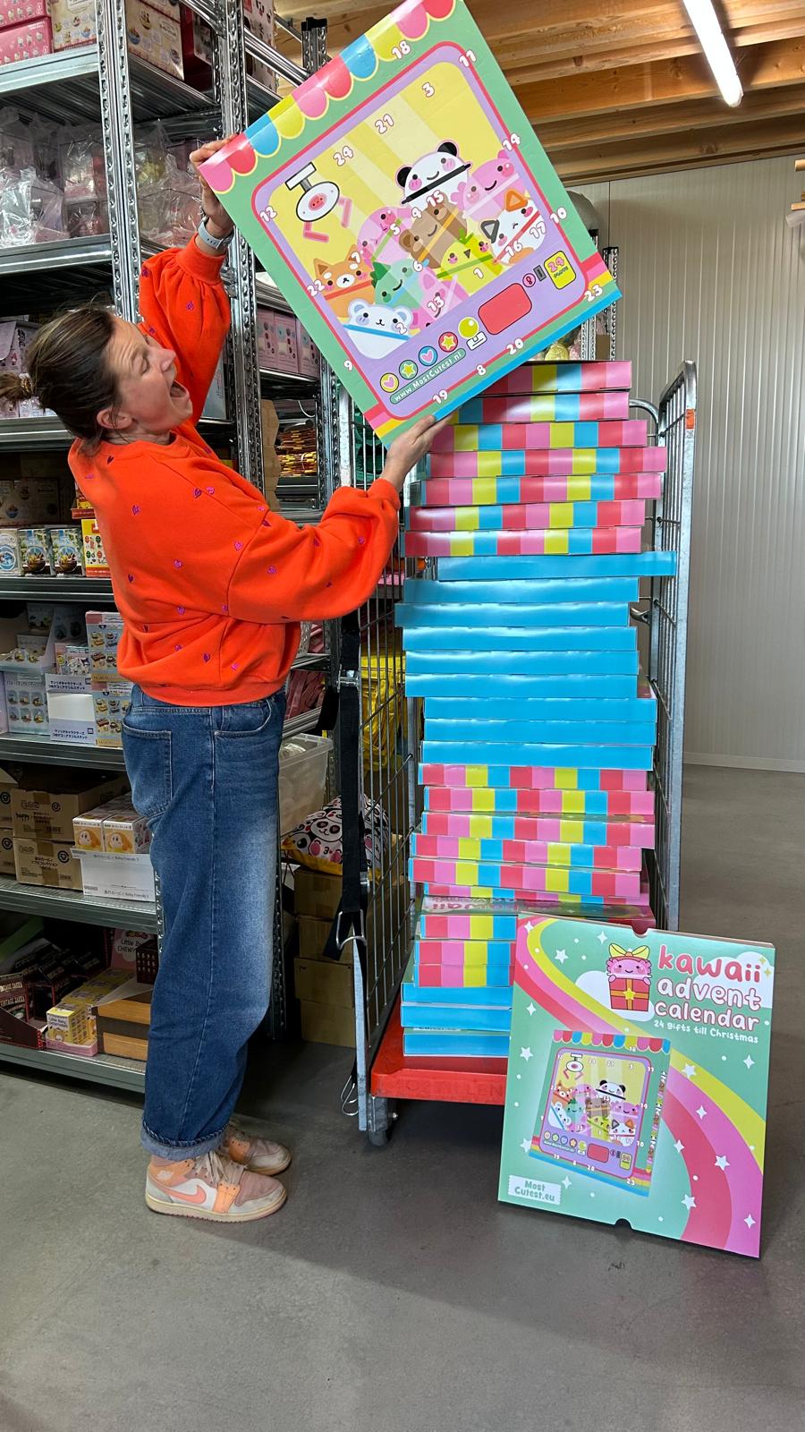 PRE ORDER - Kawaii Advent Calendar 2025 🎁 - 24 gifts till Christmas